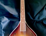 Teardrop Style mandolin