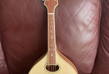A style mandolin