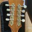 A style mandolin
