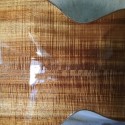 Sixteen Inch Florentine Hollowbody Electric.