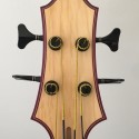 Acoustic archtop bass