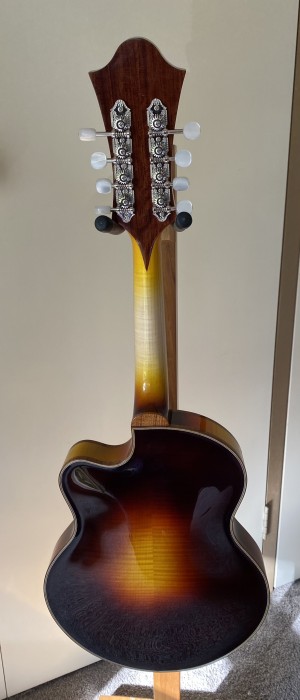 Jazz Style mandolin [sunburst]