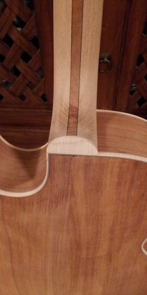 Florentine Cutaway Archtop from 100 Percent Australian Timbers