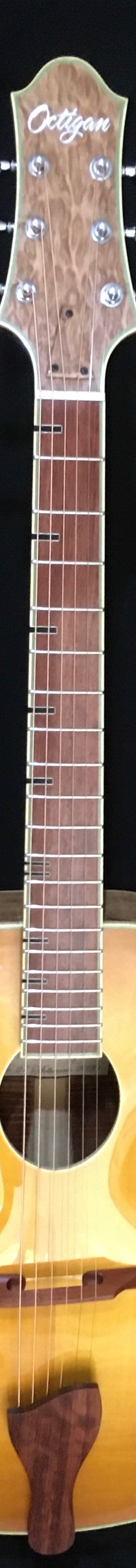 Seventeen inch Acoustic Hybrid