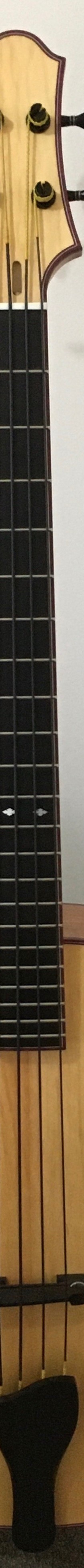 Acoustic archtop bass