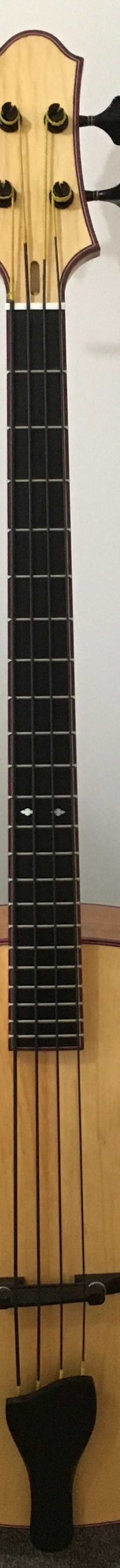 Acoustic archtop bass