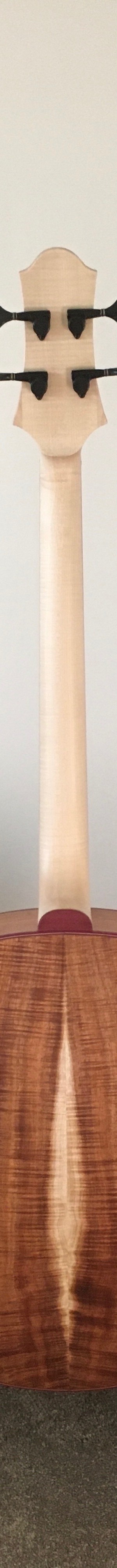 Acoustic archtop bass